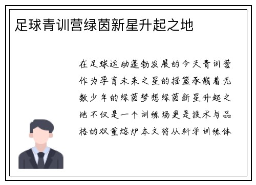 足球青训营绿茵新星升起之地